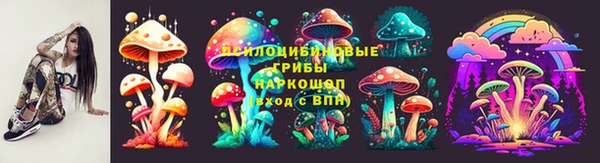 хмурый Алексеевка