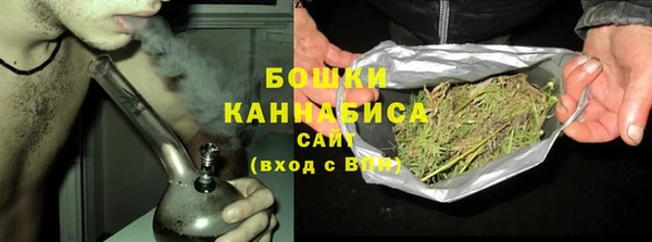прущие грибы Алзамай