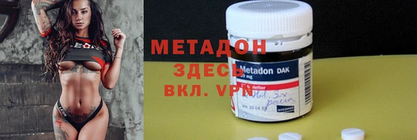 прущие грибы Алзамай