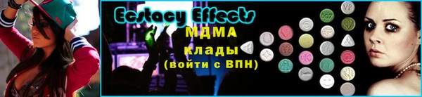 прущие грибы Алзамай