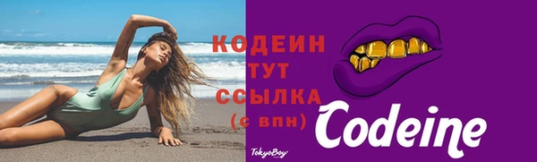 прущие грибы Алзамай
