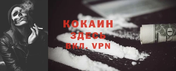 прущие грибы Алзамай