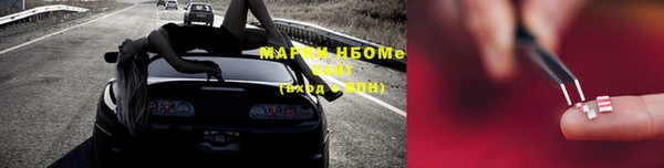 прущие грибы Алзамай