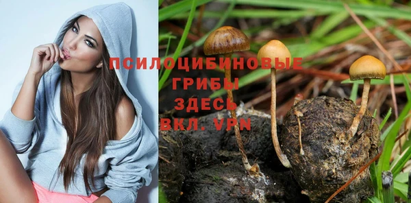 ГАЛЛЮЦИНОГЕННЫЕ ГРИБЫ Алексин