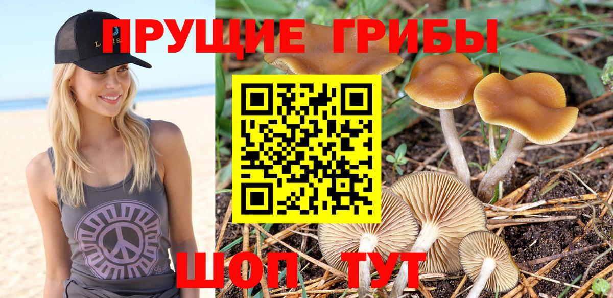 Псилоцибиновые грибы ЛСД Бердск